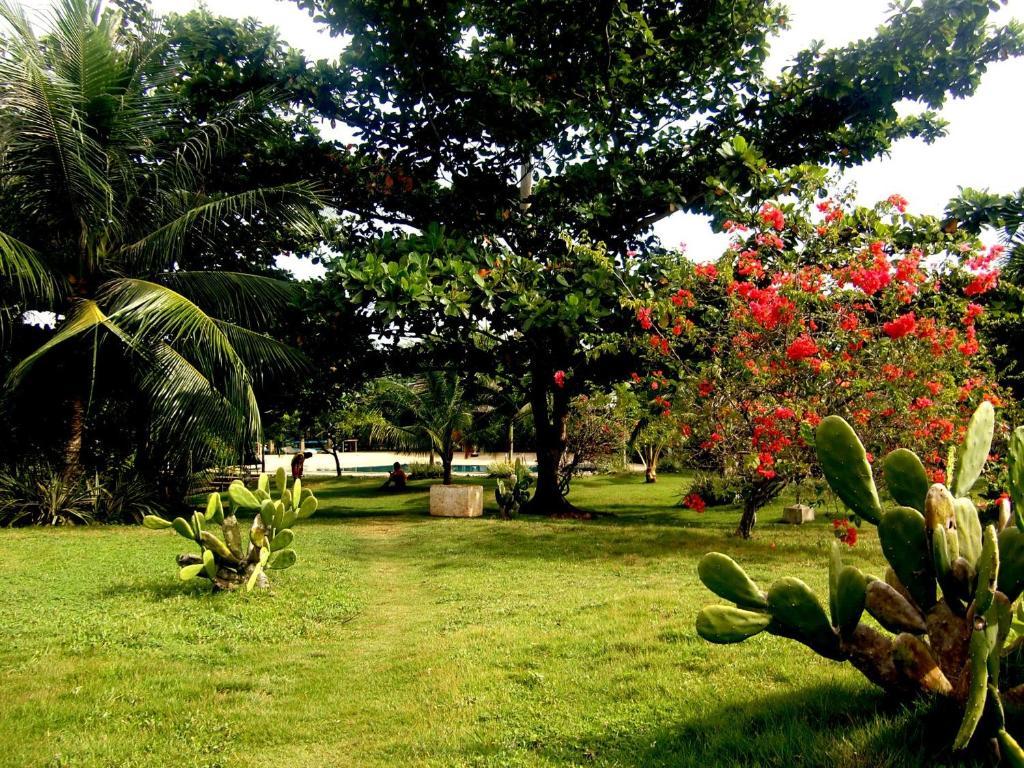 Kalipayan Beach Resort & Atlantis Dive Center Panglao Dış mekan fotoğraf