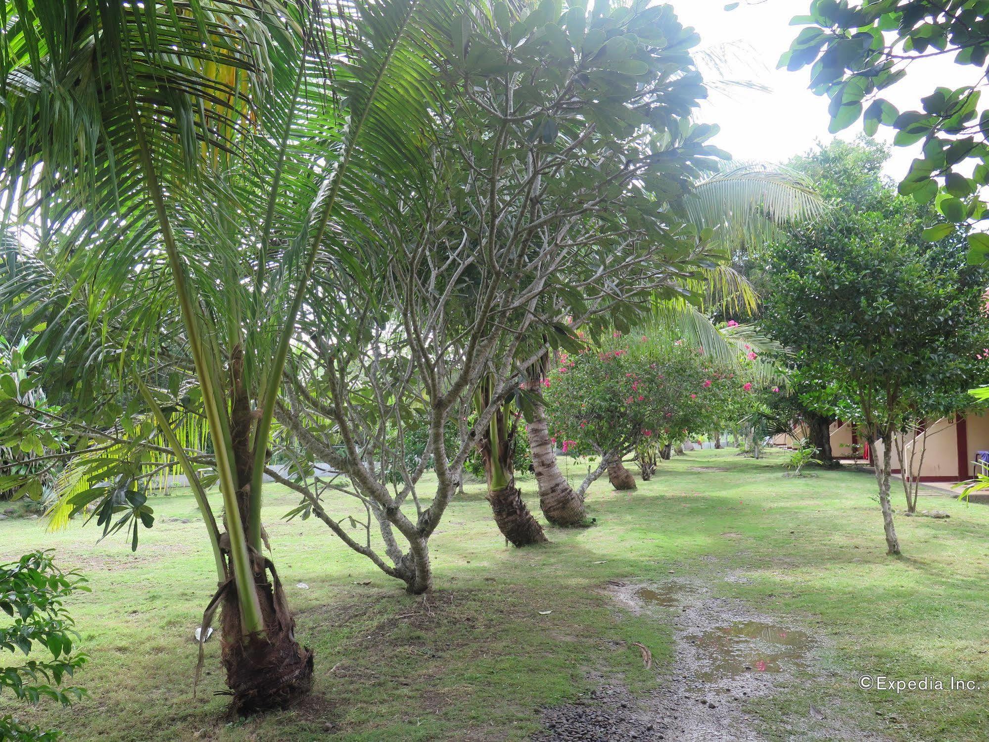 Kalipayan Beach Resort & Atlantis Dive Center Panglao Dış mekan fotoğraf